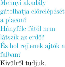 Mennyi akadly gtolhatja elrelpst a piacon? Hnyfle ftl nem ltszik az erd? s hol rejlenek ajtk a falban? Kvlrl tudjuk.